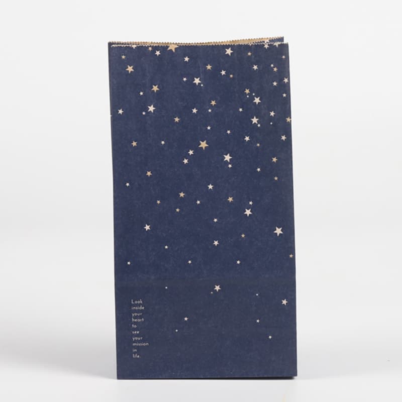 Kraft Paper Bag 1