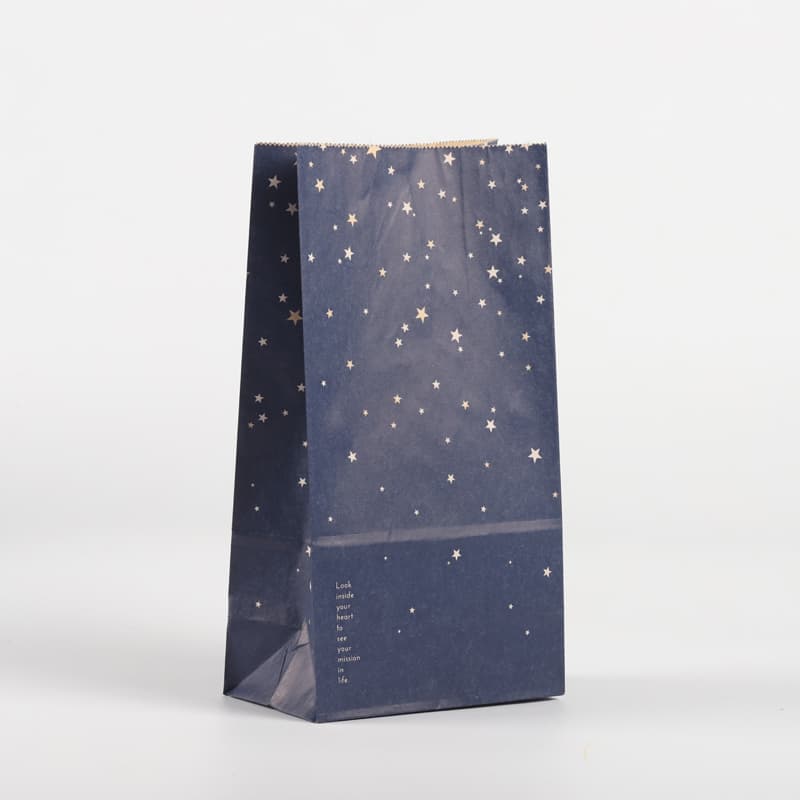 Kraft Paper Bag 3