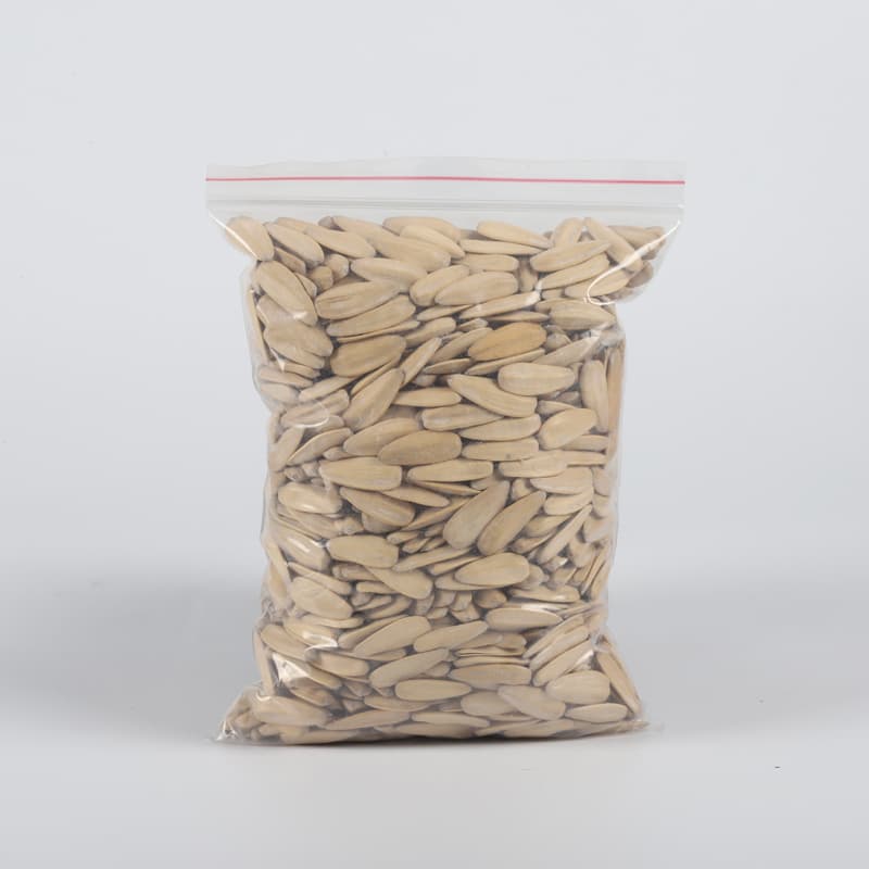 Storage Resealable Bag 1