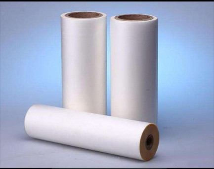 Matte PET Film - PET